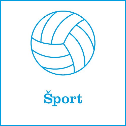 Šport
