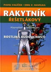 Rakytník řešetlákový - rostlina budoucnosti