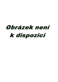 Kniha Matematika pro 4. ročník základní školy - Metodická příručka