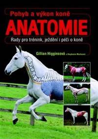 Pohyb a výkon koně - Anatomie