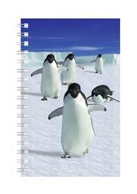 Skanzeny České a Slovenské republiky (tvrdá väzba)