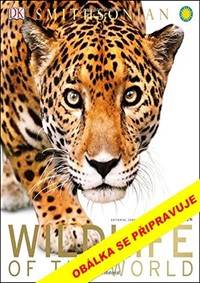 Království divoké přírody