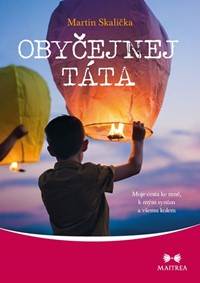 Obyčejnej táta - Moje cesta ke mně, k mým synům a všemu kolem