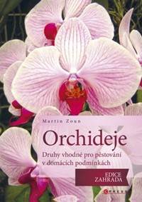 Orchideje
