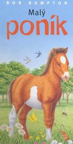 Malý poník