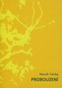 Probuzení