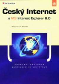 Český internet a MS internet explorer