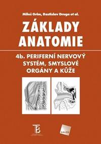 Základy anatomie