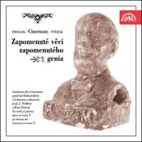 Zapomenuté věci zapomenutého génia