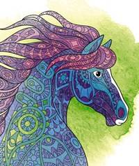 Zápisník pro holky - koně a mandaly