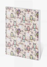 Diár 2017 vreckový Poketto - XXX (sovy)