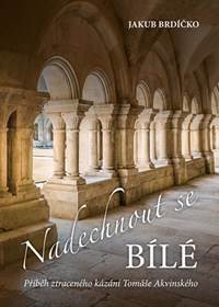 Naechnout se bílé - Příběh ztraceného kázání Tomáše Akvinského