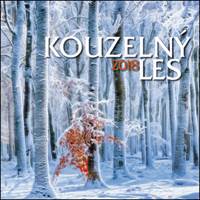 Kouzelný les 2018 - nástěnný kalendář