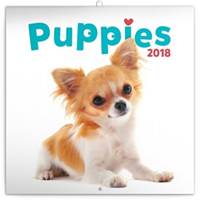 Štěňata - nástěnný kalendář 2018