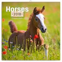 Koně 2018 - nástěnný kalendář