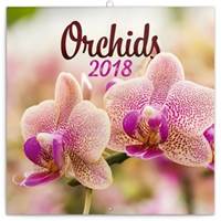 Orchideje - nástěnný kalendář 2018