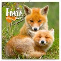 Liščí rodinka 2018 - nástěnný kalendář