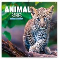 Mláďátka 2018 - nástěnný kalendář