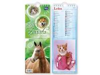 Zvířata pohlednicový 2018 - nástěnný kalendář