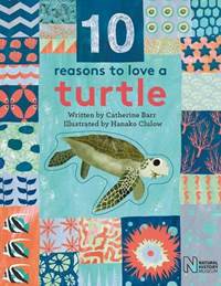 10 Reasons to Love a Turtle