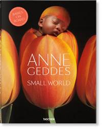 Kniha Geddes, Small World