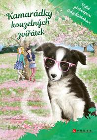 Kamarádky kouzelných zvířátek: Velké překvapení Evky Štětinkové