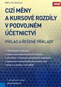 Cizí měny a kurzové rozdíly v podvojném účetnictví