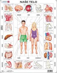 Puzzle Larsen Naše telo