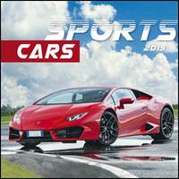 Sports cars 2019 - nástěnný kalendář
