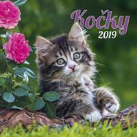 Kočky 2019 - nástěnný kalendář