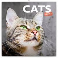 Poznámkový kalendář Kočky 2019