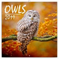 Poznámkový kalendář Sovy 2019