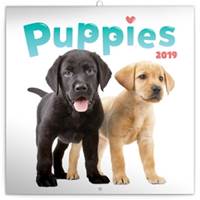 Poznámkový kalendář Štěňata 2019