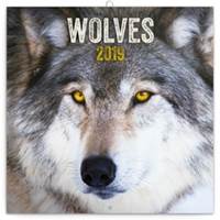 Poznámkový kalendář Vlci 2019