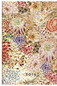 D2019 Kikka Mini HOR