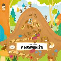 Čo sa deje v mravenisku kúpite na Knihyprekazdeho.sk
