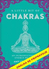 ČAKRY a jak jim rozumět. Úvod do energetického léčení