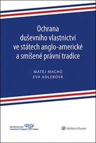 Ochrana duševního vlastnictví ve státech anglo-americké a smíšené právní tradice
