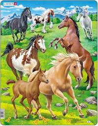 Kone - Puzzle Larsen