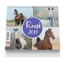 Koně - stolní kalendář 2019