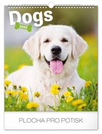 Nástěnný kalendář Psi 2020, 30 × 34 cm