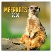 Poznámkový kalendář Surikaty 2020, 30 ×