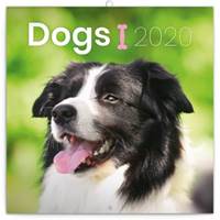Poznámkový kalendář Psi 2020, 30 × 30 cm