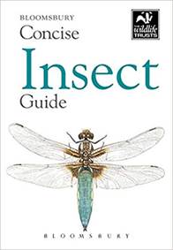 Concise Insect Guide