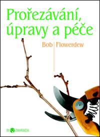 Prořezávání, úpravy a péče