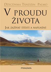 V proudu života - Jak zažívat štěstí a n