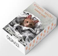 Kniha Kvarteto mačky