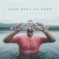Dj Wich: Jako ryba ve vodě CD
