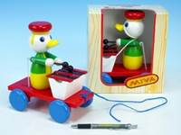 Kačer s xylofonem tahací barevný v krabičce
