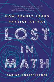 Kniha Lost in Math: How Beauty Leads Physics Astray